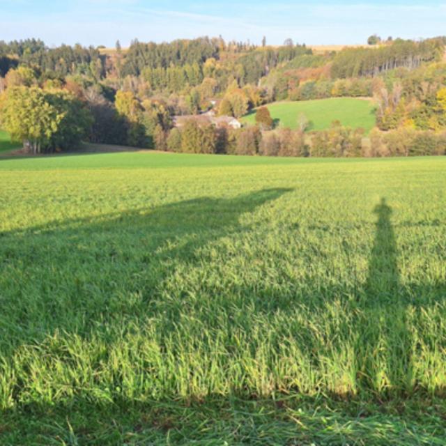 Landsberská směs PLUS: Ověřená kvalita v praxi